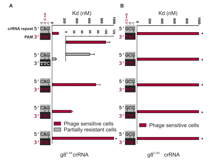 publication illustration